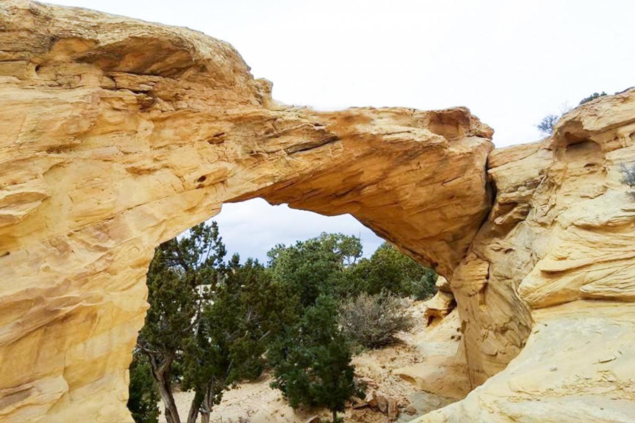Red Cliff 5B Lägenhet Moab Exteriör bild